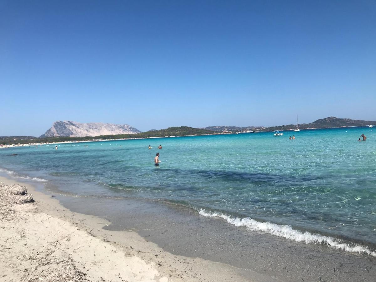 Via Genova 1480 Villa Сан Теодоро Екстериор снимка